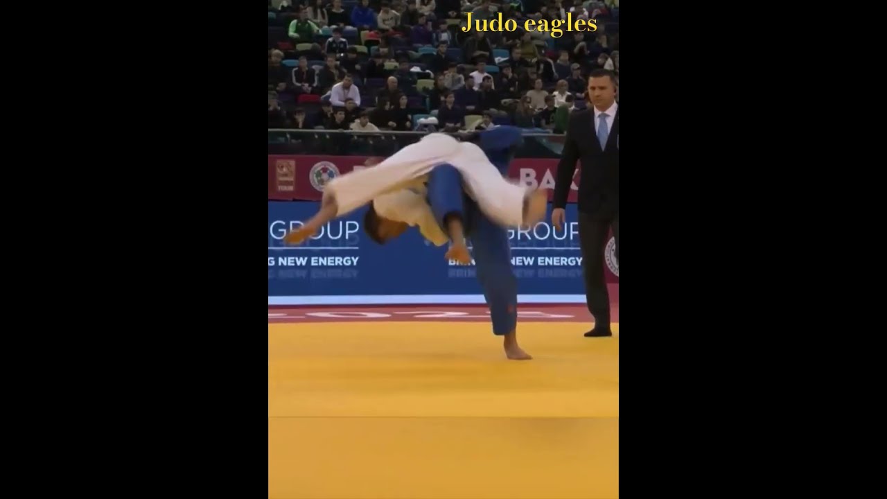个赛季的优
